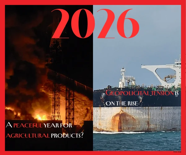 Global Supply Chain Uncertainty After Christmas: What It Means for Processed Agricultural Exports