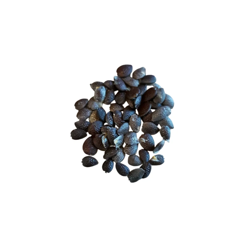 PASSION FRUIT SEEDS