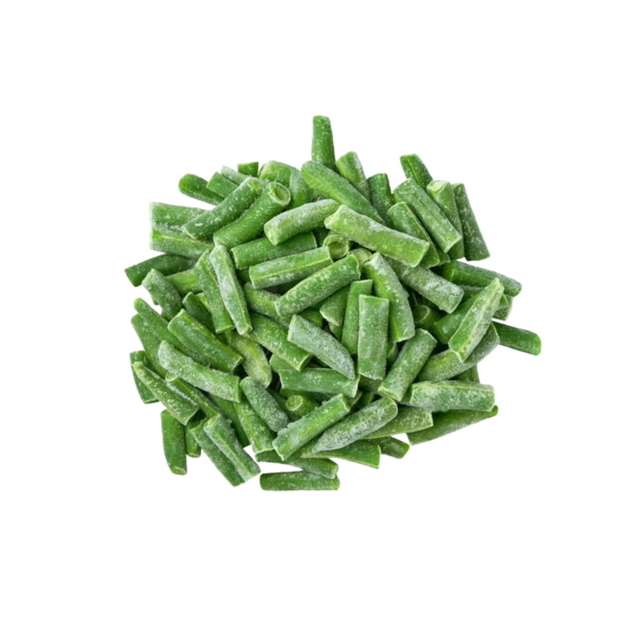 FROZEN INGEN BEAN