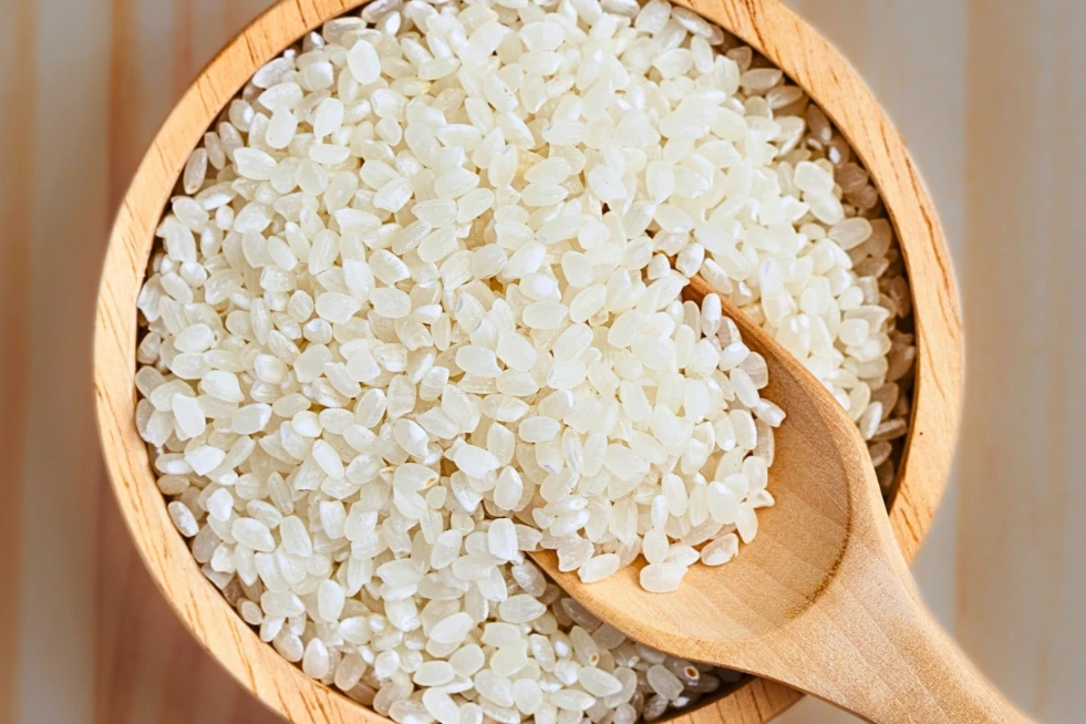 JAPONICA RICE