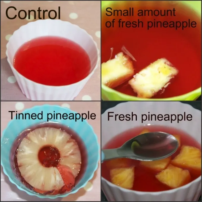 How Heat Processing Reduces Bromelain Activity in Pineapple
