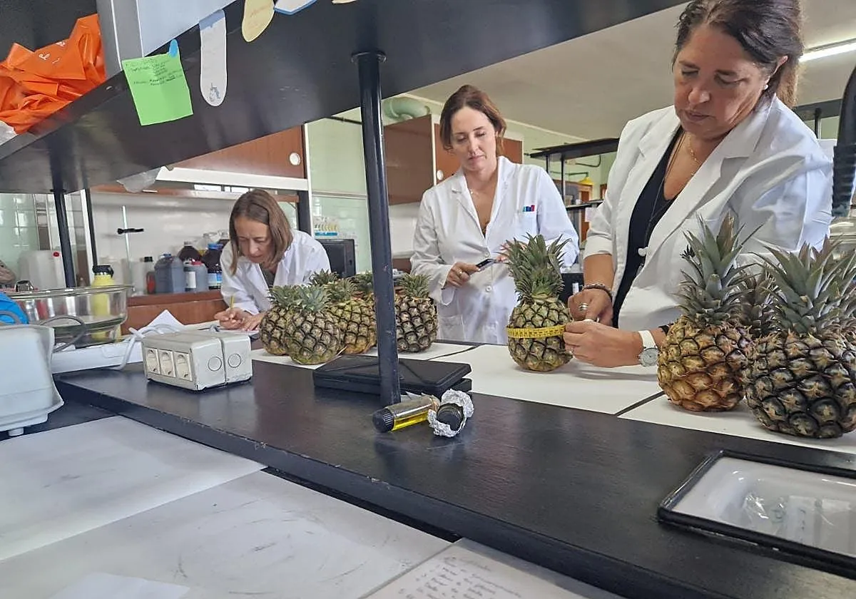 Research on pineapple and weight loss is still limited, with much of the evidence coming from animal or laboratory studies rather than robust human clinical trials