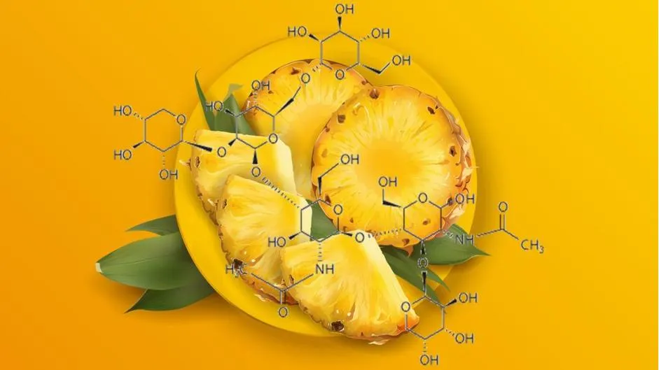 Bromelain is an enzyme complex found in pineapple, but current human evidence does not show that it directly burns body fat