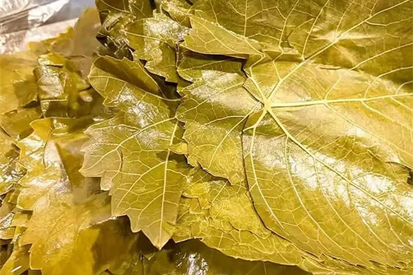 GRAPE LEAVES IN BRINE