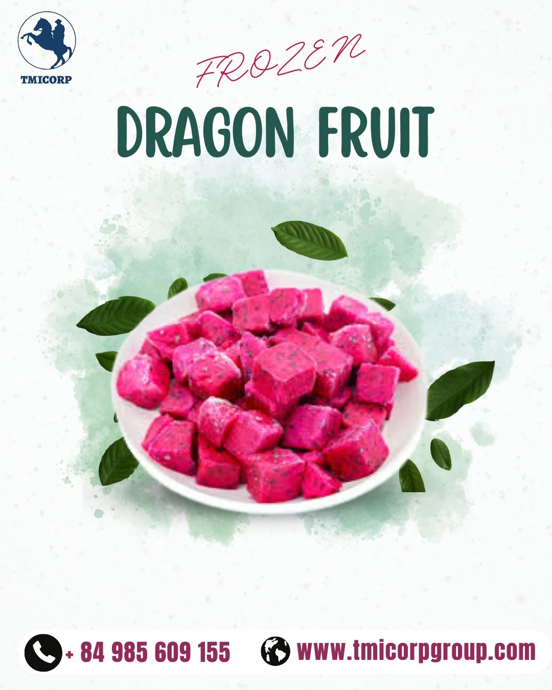 Are You Curious About the Peak Season of Dragon Fruit in Vietnam?