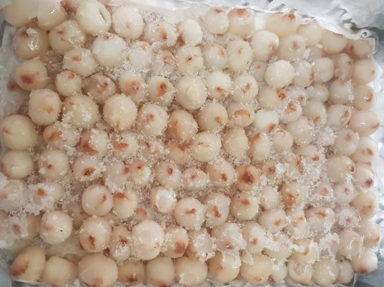 FROZEN LYCHEE