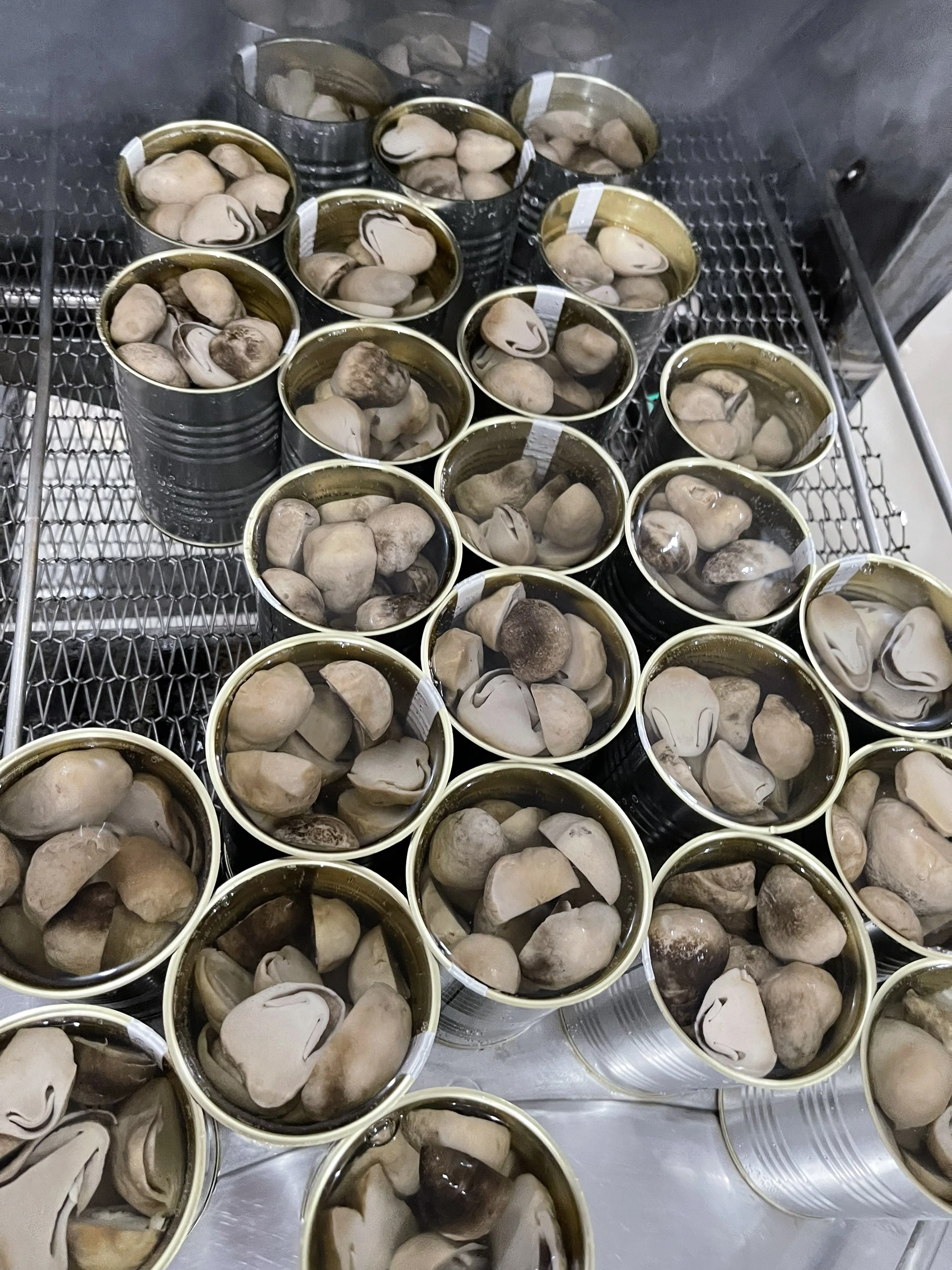 CANNED STRAW MUSHROOM