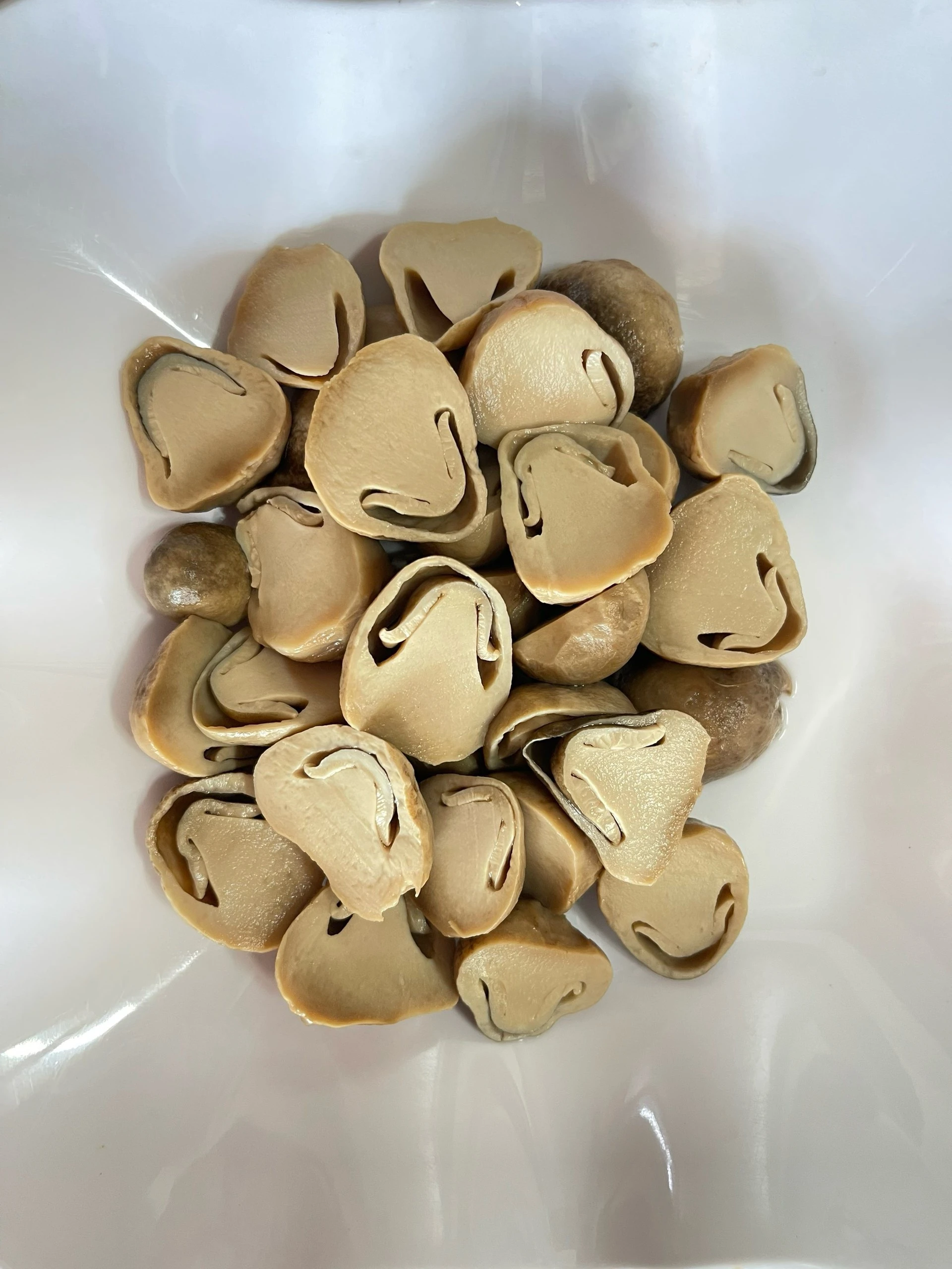 CANNED STRAW MUSHROOM